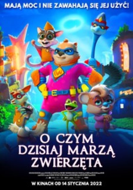 O czym dzisiaj marzą zwierzęta